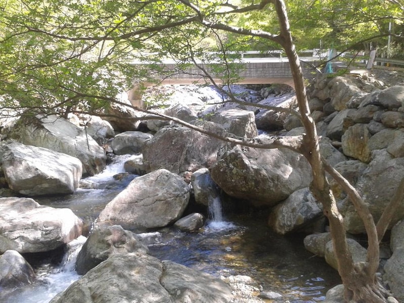 빛 생명 숲 사지목 시설 사진 3