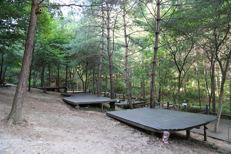 하늘그린캠프 대표 사진