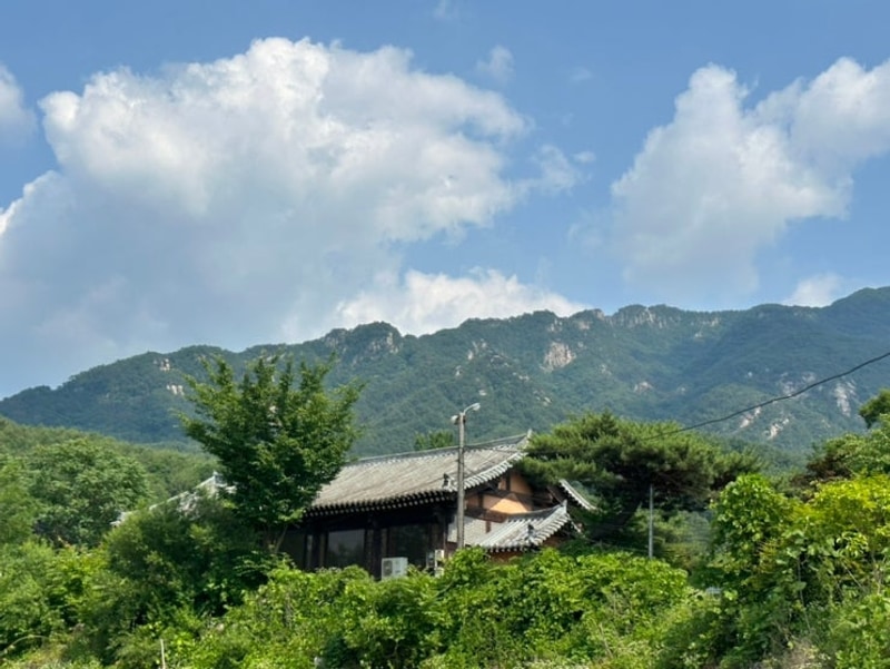 6월 가족캠핑 여름캠핑 포천캠핑장 IFA캠프운악 A존 이용 후기