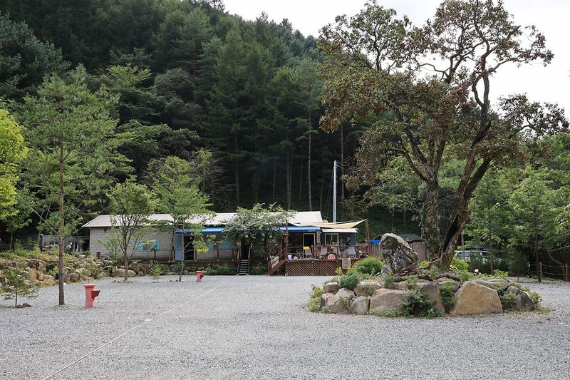 그린필로우 시설 사진 8