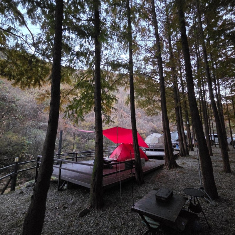 숲속 캠핑 호텔급 시설! 양평 스테이네이처 캠핑장 명당 추천