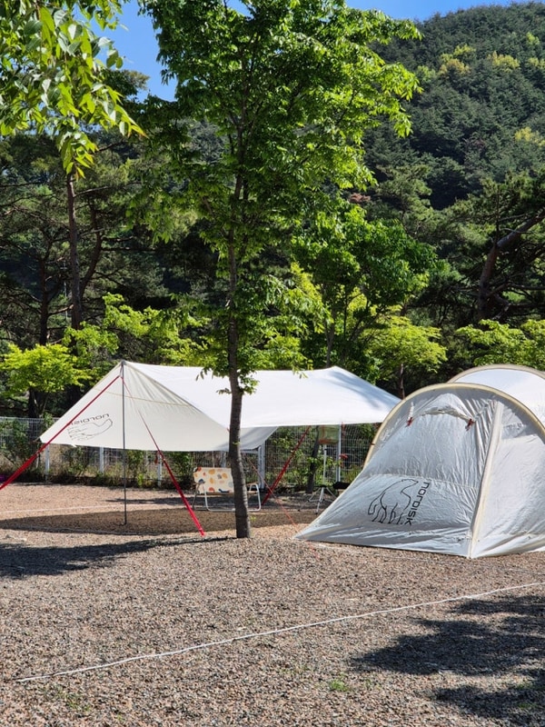 캠핑기록 #07 [창녕] 초록여울캠핑 2박3일 노르디스크레이사6...