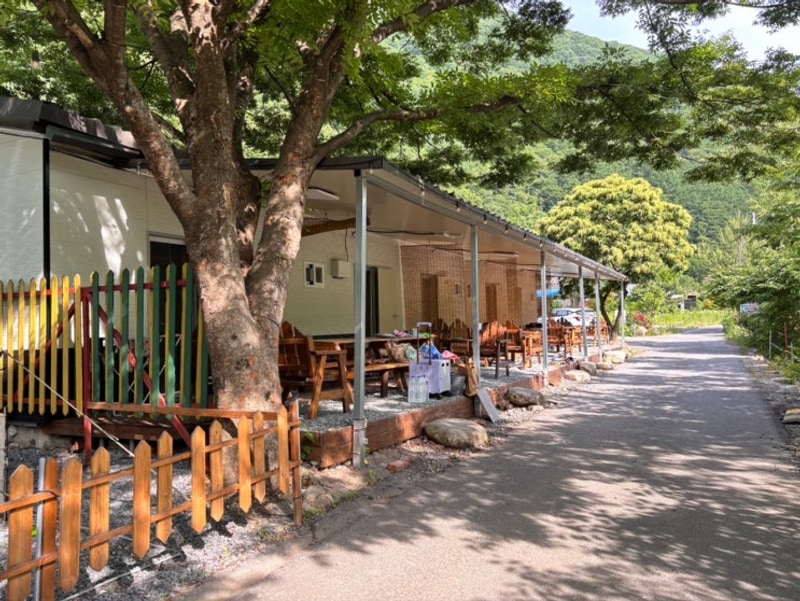 [충북 제천] 월악산레트로캠핑N민박, 자연속 힐링장소