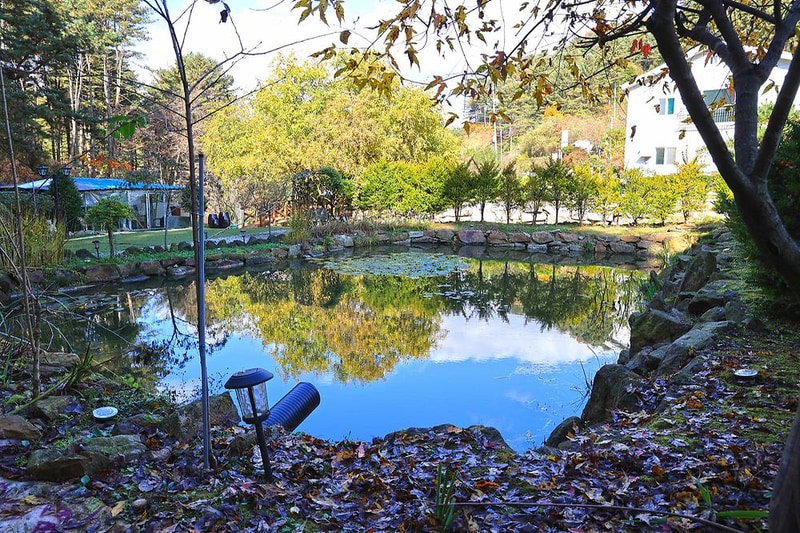 포천 땡큐247 캠핑장 시설 사진 5