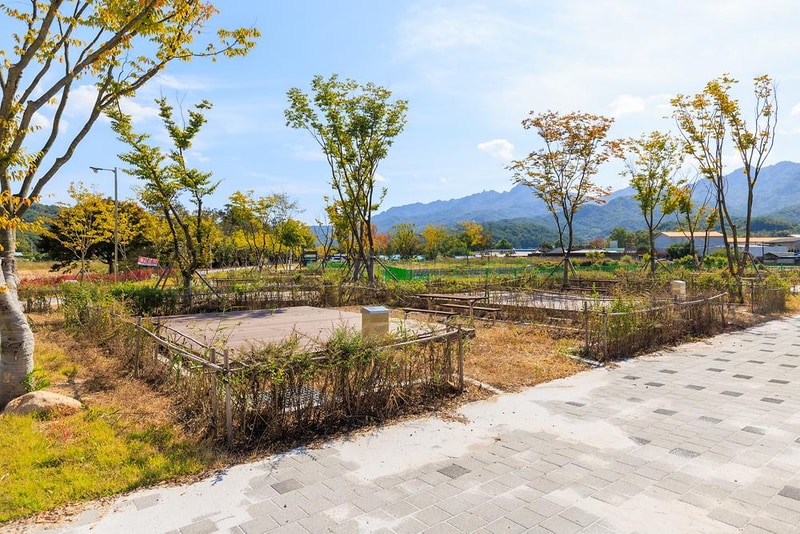 십승지힐링캠핑장 시설 사진 9