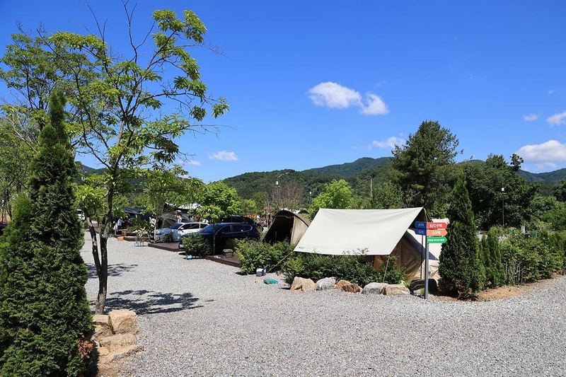 일칠일관광농원 시설 사진 8