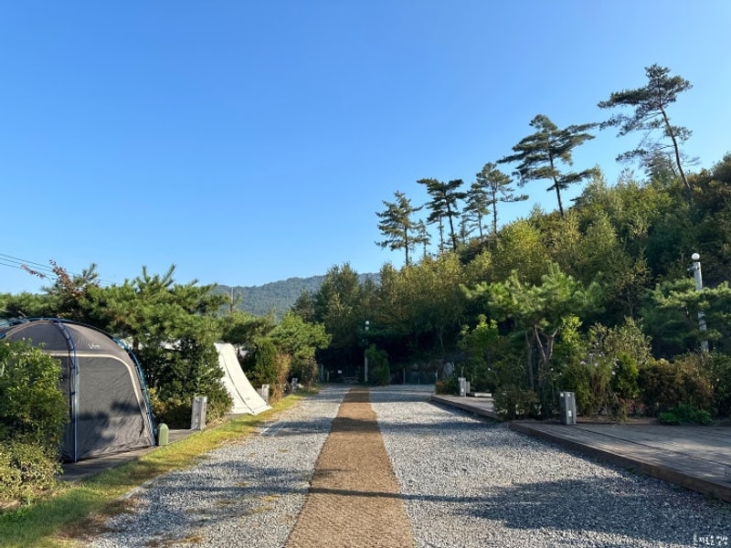 [캠핑] 포천 청계호수 자작나무숲 캠핑장 2