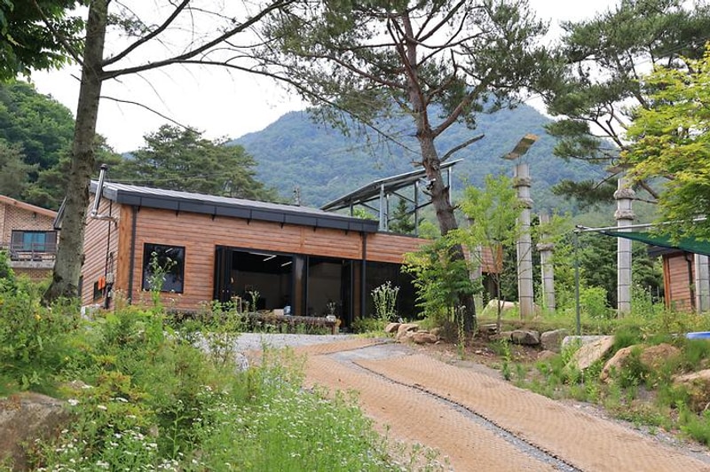 힐링인더 포레스트 대표 사진