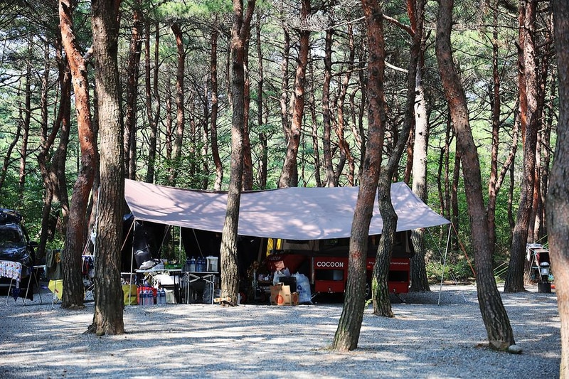 양양 솔바다 캠핑장 시설 사진 3