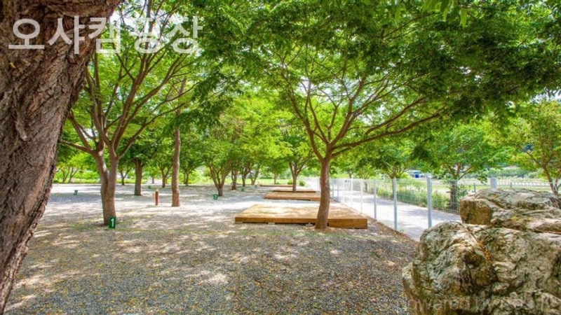 가평 캠핑장 오샤캠핑장 당일치기 셀프바베큐