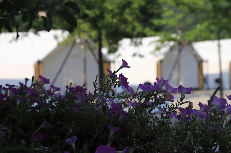 프랭클리 글램핑 시설 사진 21