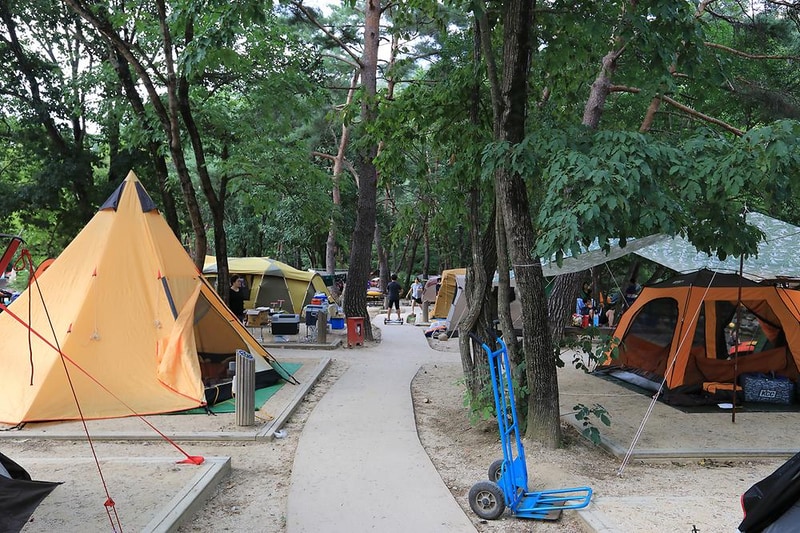월악산국립공원 닷돈재자동차야영장 시설 사진 15
