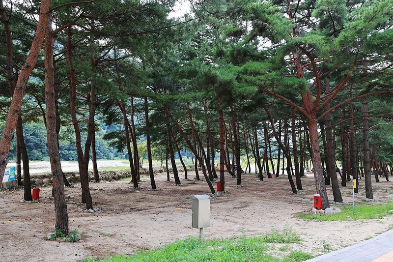 한계2리 솔밭야영장 시설 사진 15