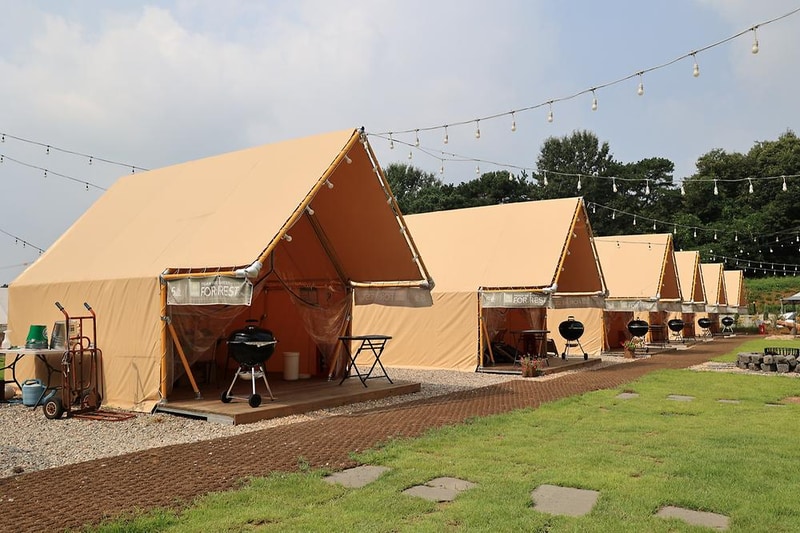 포레스트 도일 시설 사진 5