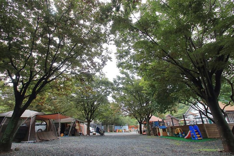 운문 사계절 캠핑장 대표 사진