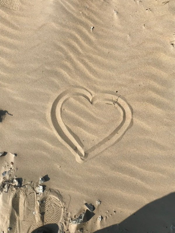 [휴정원글램핑] 해남 글램핑 추천 전남 글램핑장 애견동반 추천