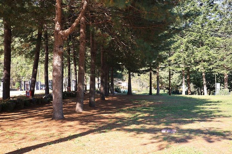 수산하늘풍경 대표 사진