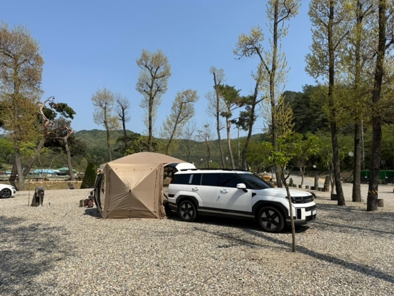 [ 강원도 원주 캠핑장 ] 재방문한 원주 칠봉송정 캠핑장