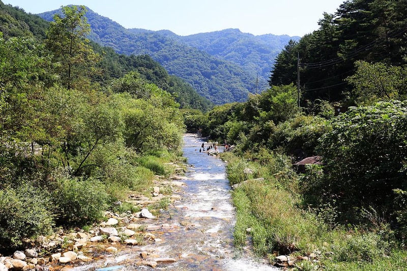 새솔캠핑장&펜션 시설 사진 8