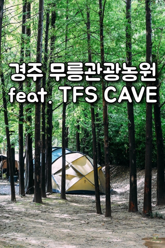 비를 몰고다니는 우중캠핑 경주무릉관광농원에서 feat....