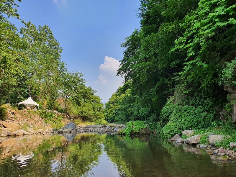 포레스트힐링캠프 시설 사진 34