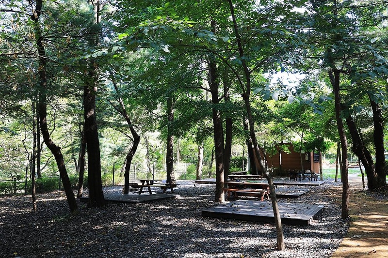 관악산 계곡 캠핑장 시설 사진 24