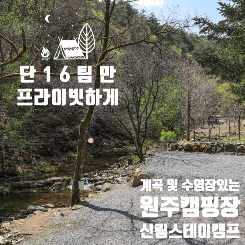원주 캠핑장 단 16팀만 계곡 및 수영장 즐기자! 신림스테이캠프