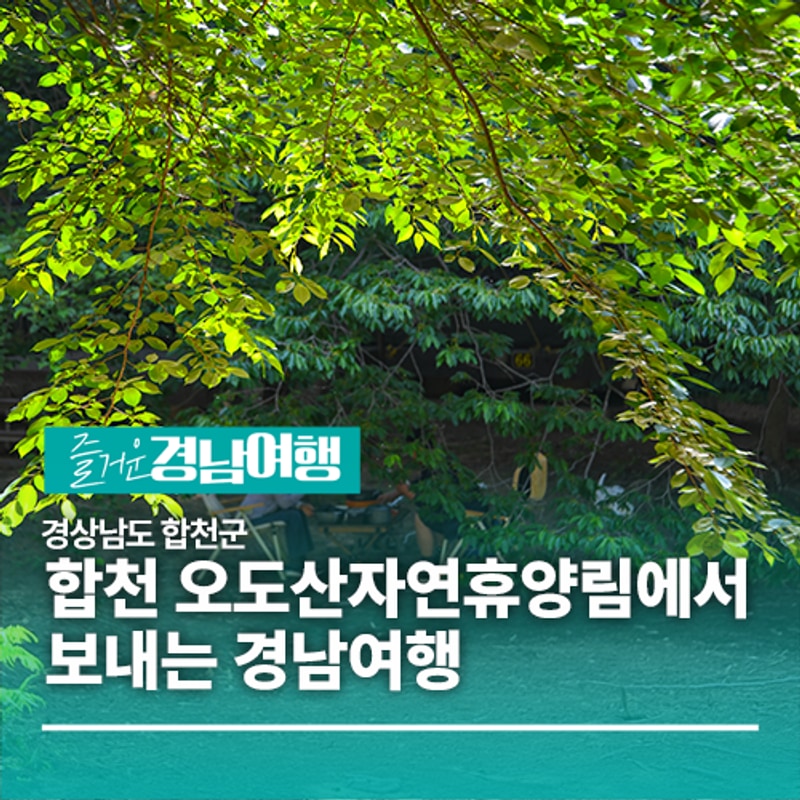 속 힐링 캠핑! 합천 오도산자연휴양림에서 보내는 경남여행