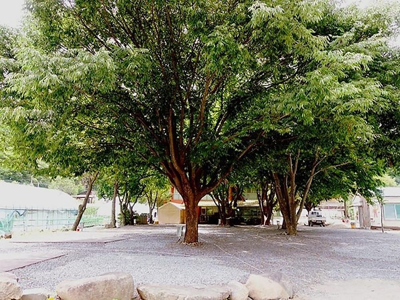 월악파머스캠핑장 시설 사진 11