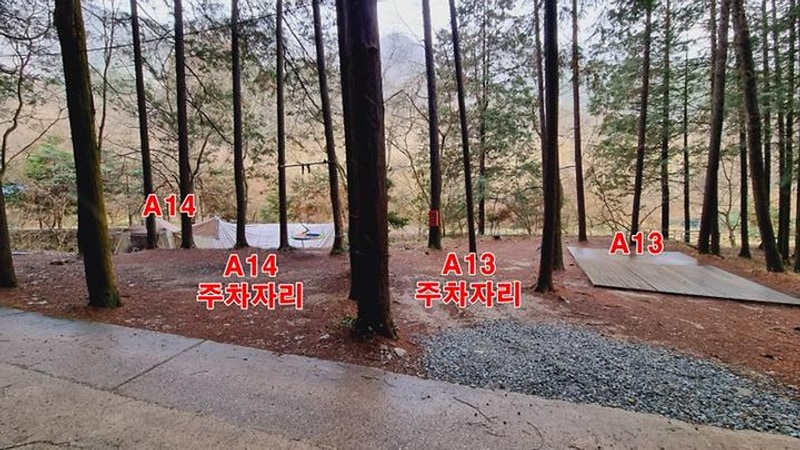 편백힐 치유의숲 야영장 대표 사진