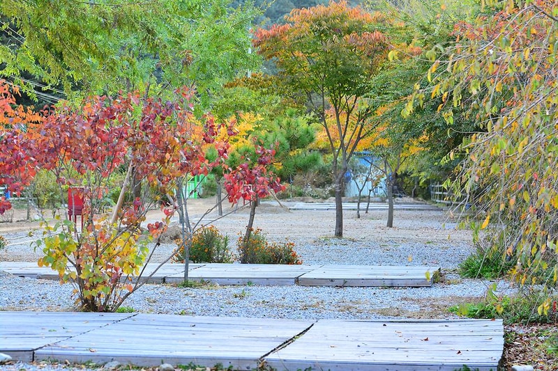 가평 물골숲 계곡 캠핑장 시설 사진 7