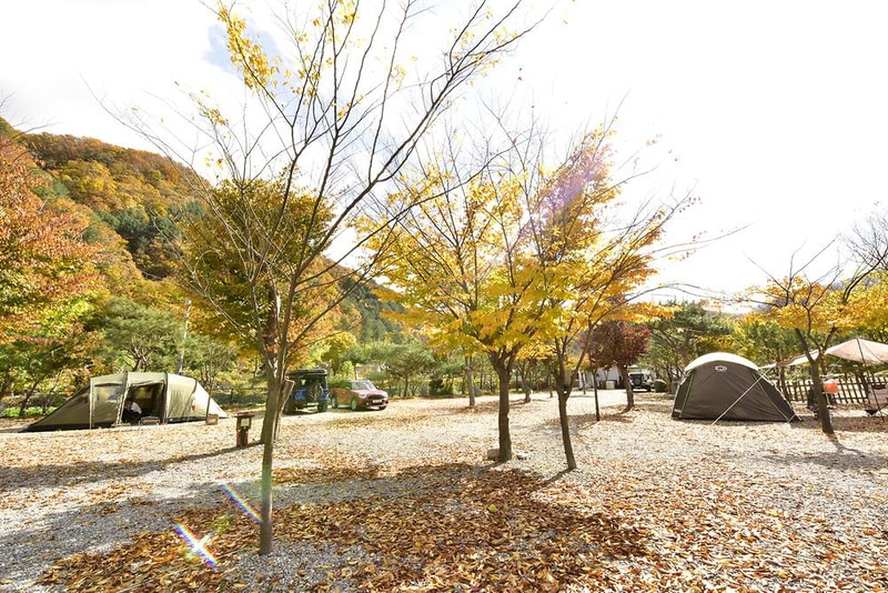 홀리데이캠핑장 시설 사진 12