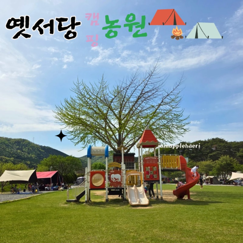 [사과 여행] 아이랑 여행 추천   장성 옛서당 캠핑 농원