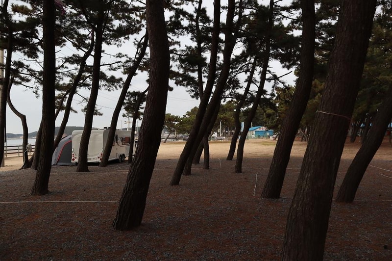 몽산포오토캠핑장 2구역 시설 사진 10