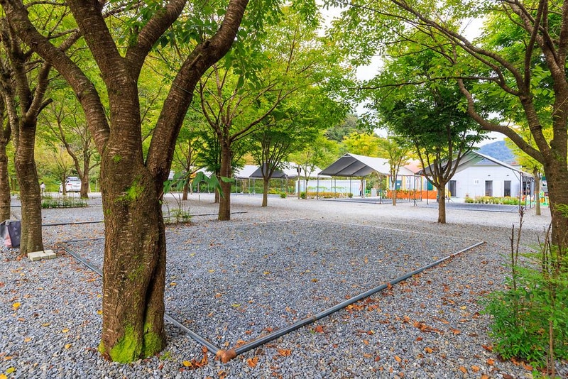 솔내음캠핑장 시설 사진 16