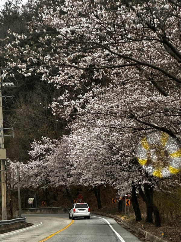 양평 모짜르트 캠핑장 후기 - 캠핑음식 감성캠핑 추천 날씨...