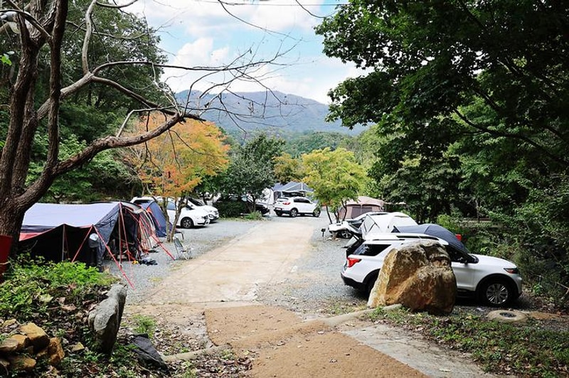 복골캠핑장 대표 사진