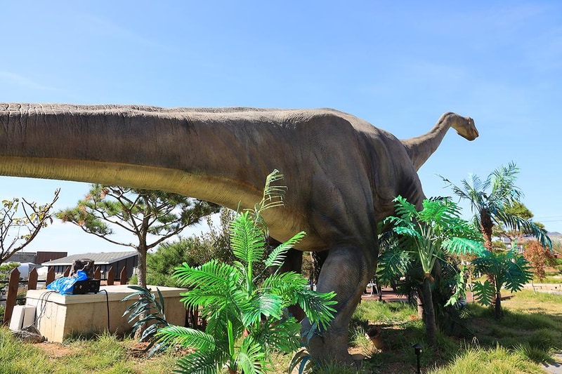 쥬라기 카라반 시설 사진 29