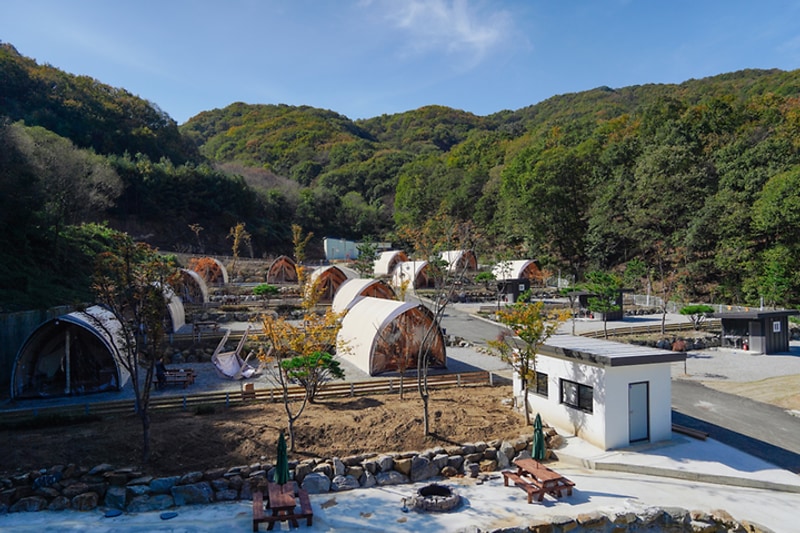 몽키캠핑장 대표 사진