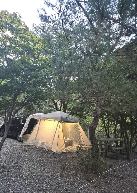 힐링하기 좋은 가평 애견동반 캠핑장 포시즌 캠핑장 A 10...