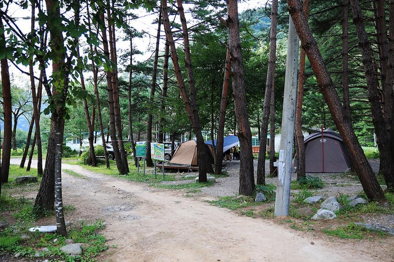 물가솔솔캠핑장 시설 사진 9