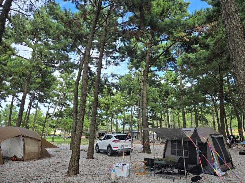 6번째, 고창 구시포 노을 캠핑장 후기