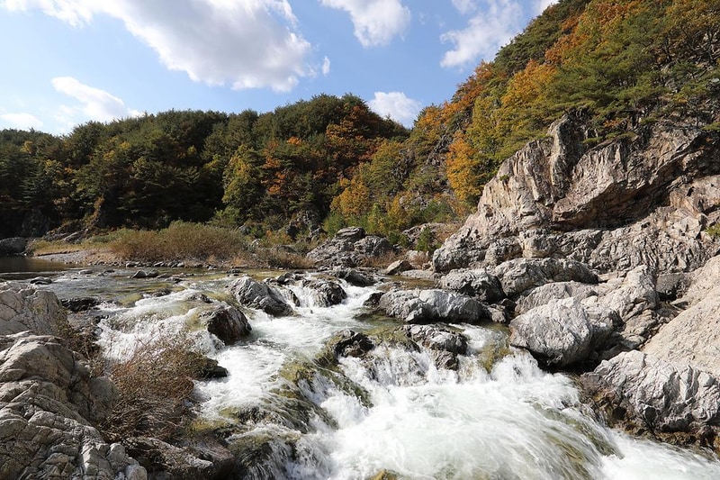 왕피천모래언덕 펜션/캠핑장 시설 사진 3