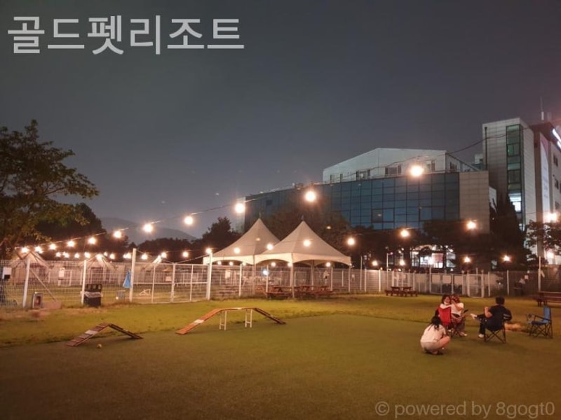 [용인 캠핑장] 골드펫리조트 감성 힐링캠핑