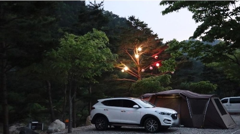 왕피천하늘담야영장 시설 사진 18