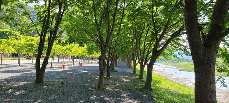 써니밸리오토캠핑장 대표 사진