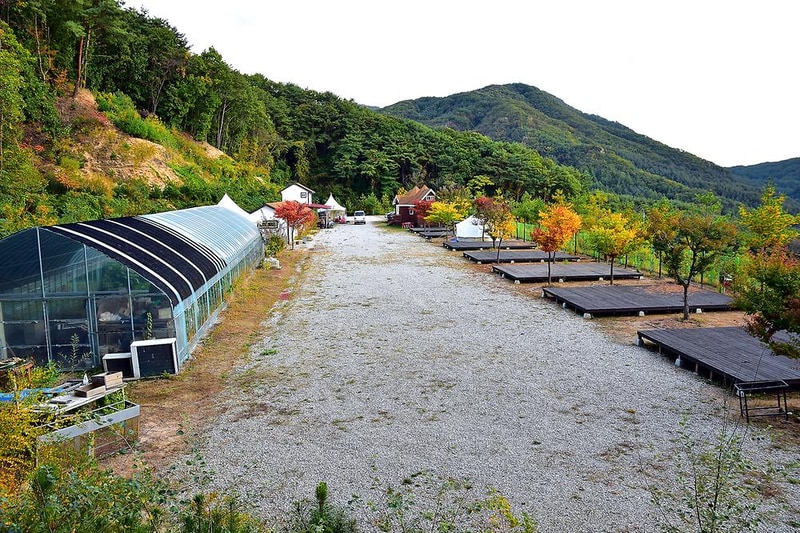 예손농원캠핑장 시설 사진 7