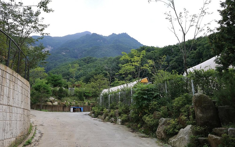 운악184 시설 사진 3