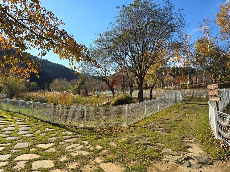 정선군생태체험학습장야영장 펫 동반 캠핑장 시설 사진 5