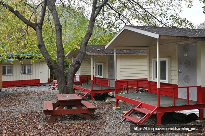 [일상] 경주오토캠핑장 '반딧불이캠핑장' 소개